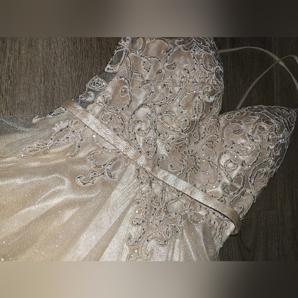 Chic Beige Embellished Gown - Picture 6 of 11